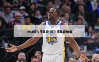 nba阿尔德里奇-阿尔德里奇锦集